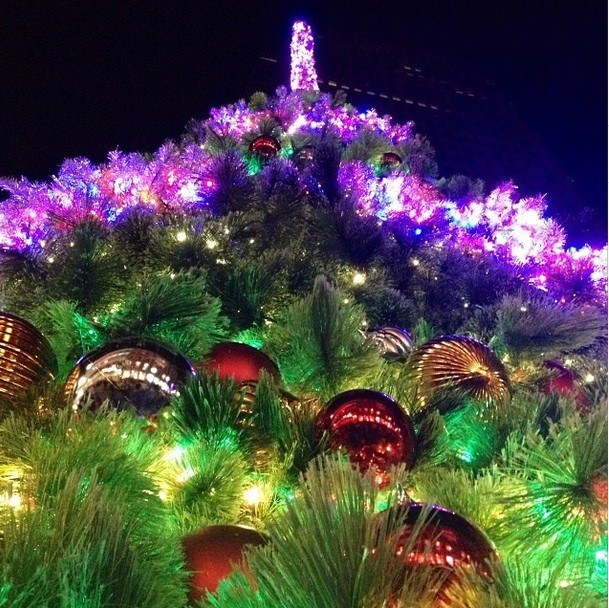 Standing from the bottom of the christmas tree looking up at all the pine branches, lights, and ornaments
