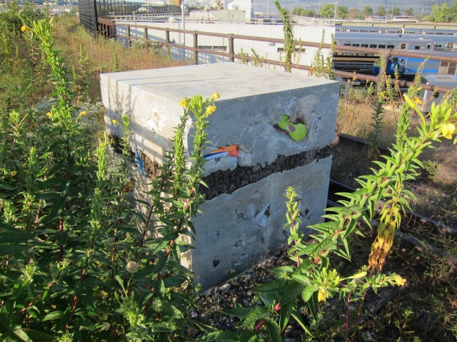  A piece of art by Argentian sculptor artist Adeian Villar Rojas along the High Line at Rail Yards