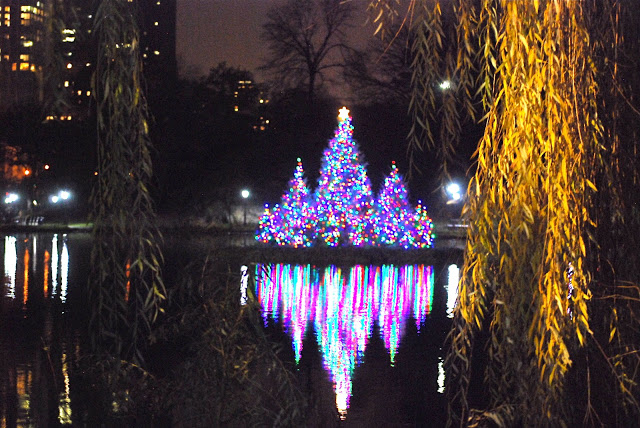 nyc-best-christmas-tree-lighting-harlem-meer