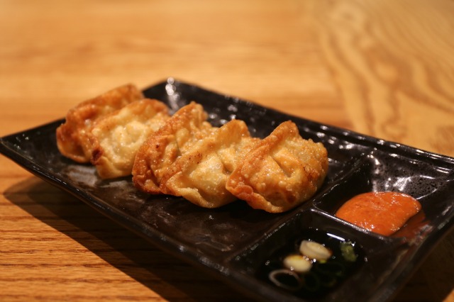 best-ramen-nyc-zendo-ya-dumplings